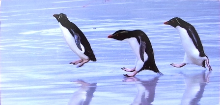 c0076387_5533589.jpg