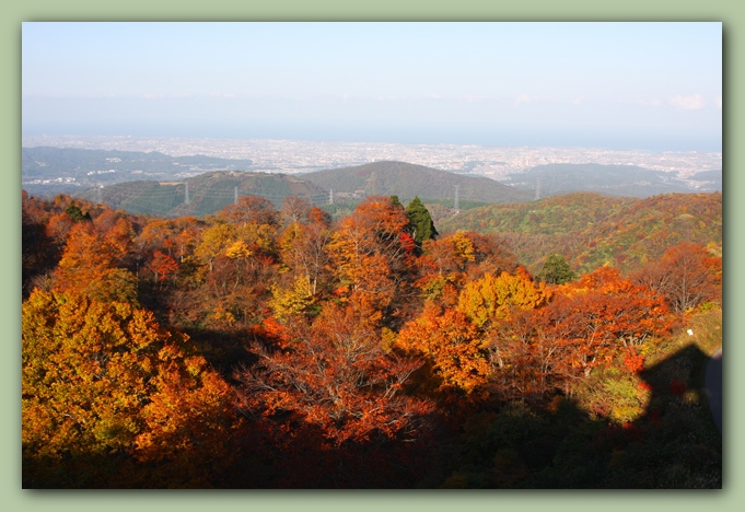 医王山・夕霧峠～太陽ヶ丘_f0079990_9171422.jpg