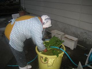 f0117892_1714289.jpg
