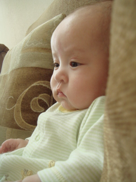 c0103793_17343710.jpg