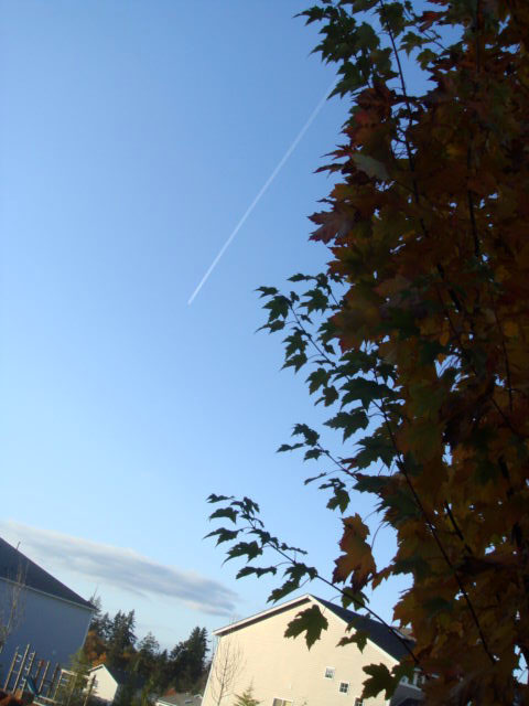 c0103793_1881878.jpg