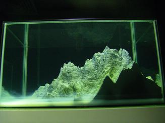 e0121993_11425254.jpg