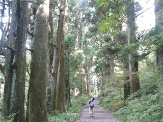 箱根温泉の旅②＠強羅_b0149197_21584893.jpg