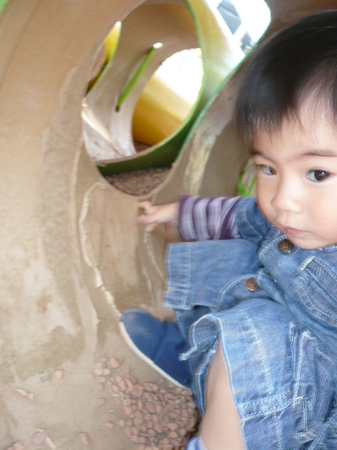 d0140300_14305934.jpg
