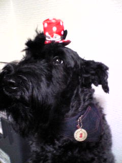 c0037701_0181578.jpg