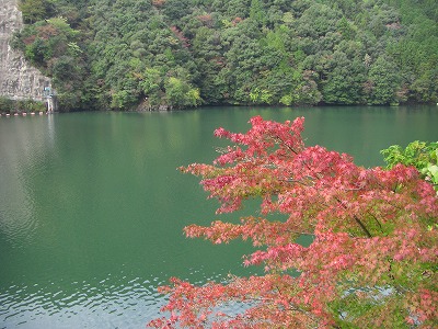 いざ・・・北山村へ_c0125501_20533683.jpg