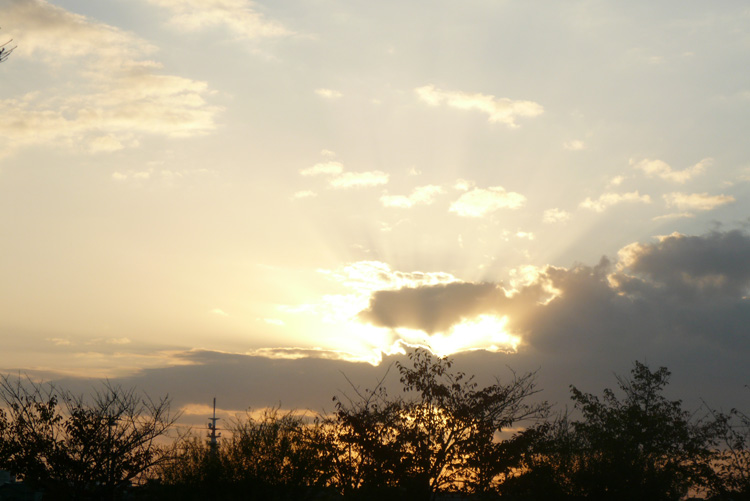 b0158403_23565234.jpg