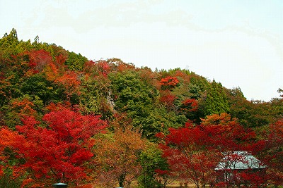 ☆紅葉合宿決行っ！☆_d0137903_21221993.jpg