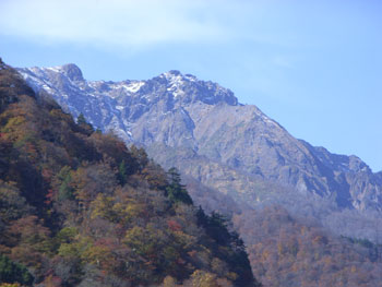 蕗のとう通信16 2008年11月6日_b0129807_23214851.jpg