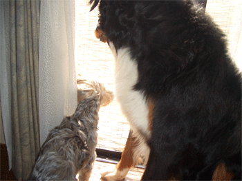 c0143711_190131.gif