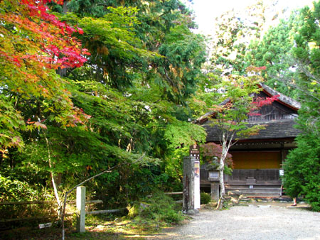 紅葉を訪ねて-神護寺2大師堂_e0048413_2371995.jpg