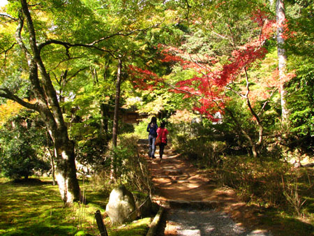 紅葉を訪ねて-神護寺2大師堂_e0048413_2374781.jpg
