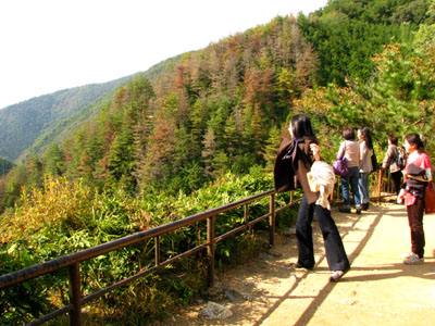 紅葉を訪ねて-神護寺2大師堂_e0048413_2375938.jpg