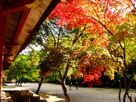 紅葉を訪ねて-神護寺2大師堂_e0048413_2381959.jpg