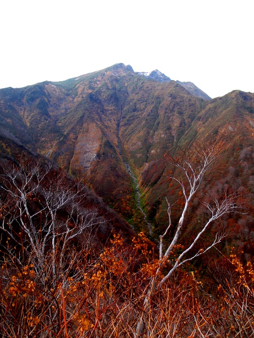 c0177814_9343532.jpg