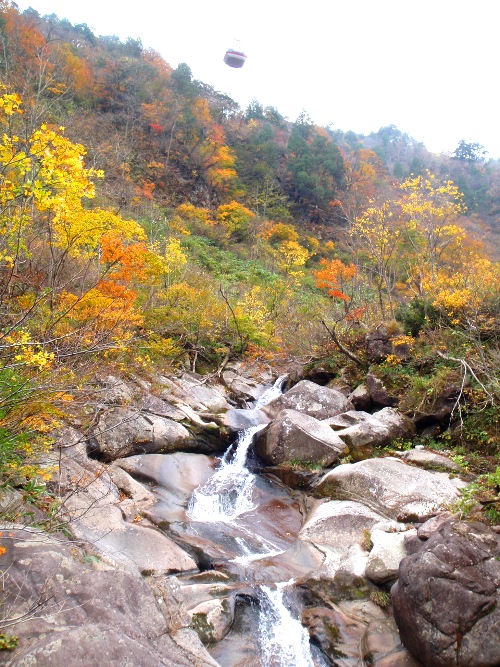 c0177814_9434659.jpg