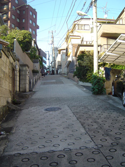 c0135618_22623.jpg