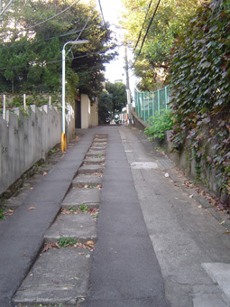 c0135618_233837.jpg