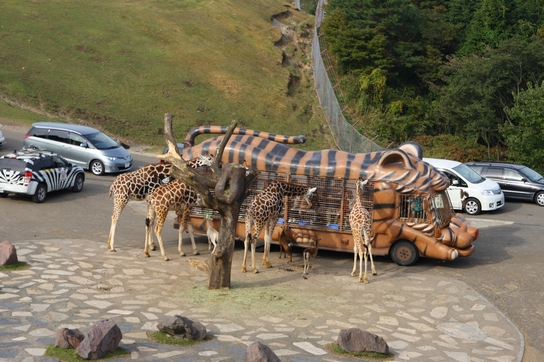 九州自然動物公園「アフリカンサファリ」_f0197319_13564093.jpg