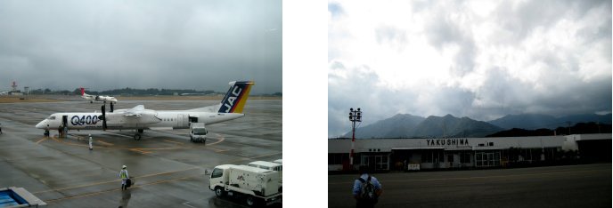 c0051620_675278.jpg