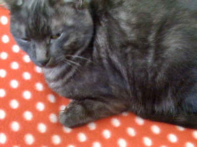 c0129221_1333186.jpg