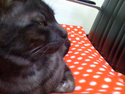 c0129221_1361856.jpg