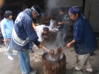 感謝 感謝の収穫祭!_e0015223_22523744.jpg