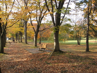 b0147224_17144913.jpg