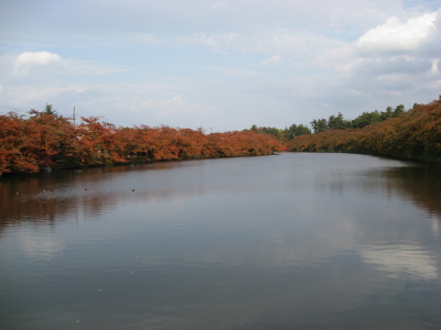 b0147224_17153365.jpg