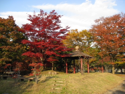 b0147224_17195548.jpg