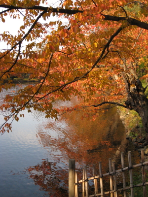 b0147224_17212656.jpg