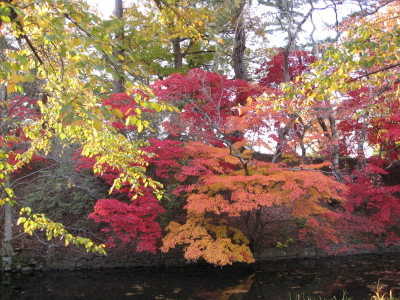 b0147224_17254492.jpg