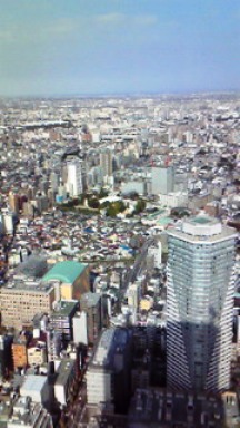 c0109726_1711945.jpg