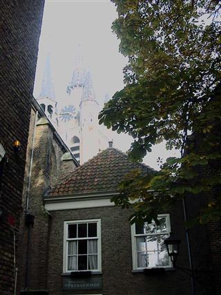 c0039428_2352340.jpg