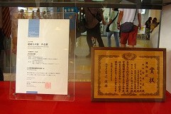 杉コレクション２００８in日向　☆その１「やまんかん祭り」_f0105533_22255974.jpg