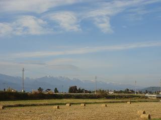 a0014840_2323381.jpg