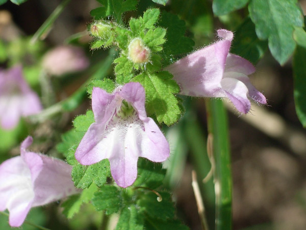 c0047341_9481098.jpg