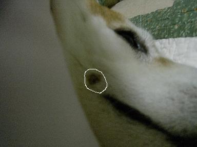 f0075043_20284064.jpg