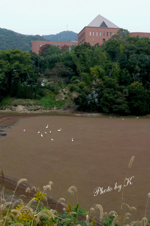 c0127748_21352628.jpg