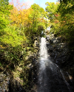 秋の鍋割山に登りました！_c0171849_14113123.jpg