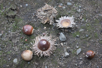 c0118352_17085.jpg