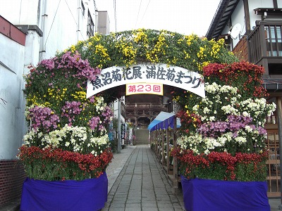 菊祭り_a0084753_8122117.jpg