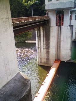 “設楽ダムの建設を止め、みどりの流域圏づくりをめざす”全国集会①_f0197754_1642217.jpg