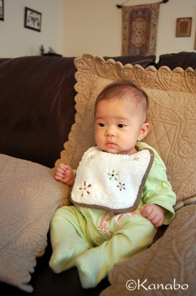 f0099556_1445553.jpg