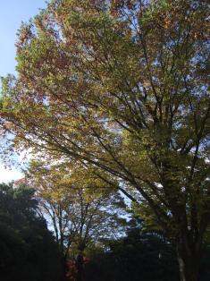 c0111557_22302430.jpg