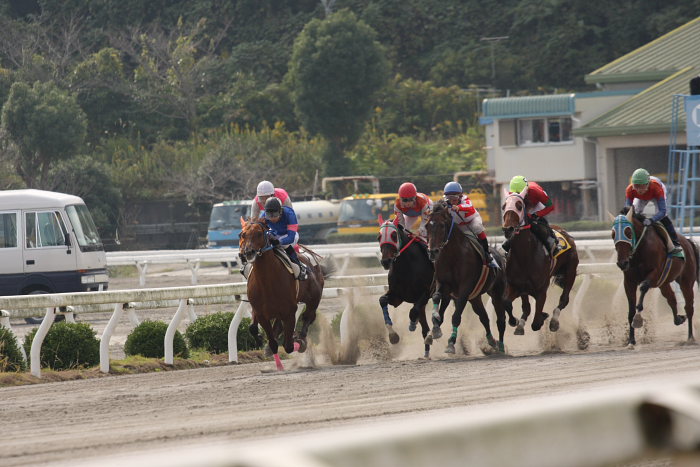 2008年11月2日（日） 高知競馬 4R_a0077663_1845636.jpg