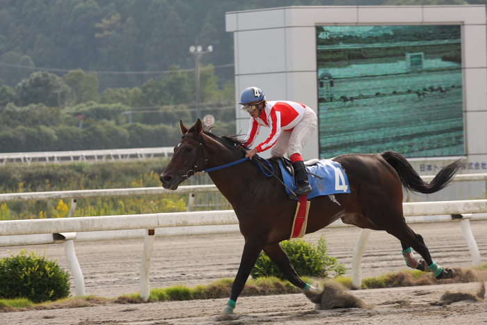 2008年11月2日（日） 高知競馬 4R_a0077663_1852214.jpg