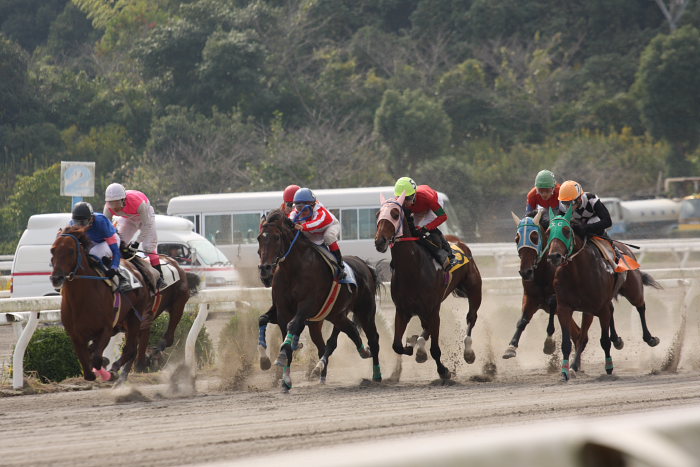 2008年11月2日（日） 高知競馬 4R_a0077663_185420.jpg