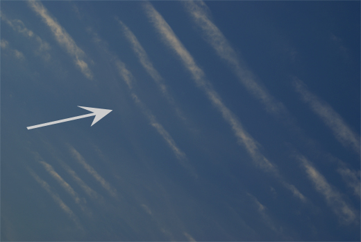 e0150566_0581435.jpg