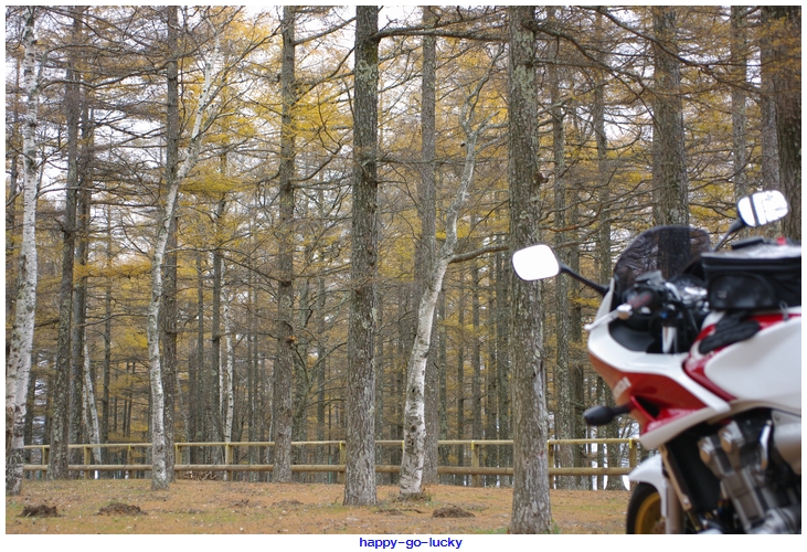 バイクで富士山！part4_b0144072_23135622.jpg